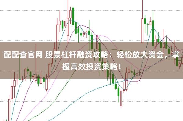 配配查官网 股票杠杆融资攻略:轻松放大资金,掌握高效投资策略!