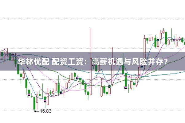 华林优配 配资工资：高薪机遇与风险并存？