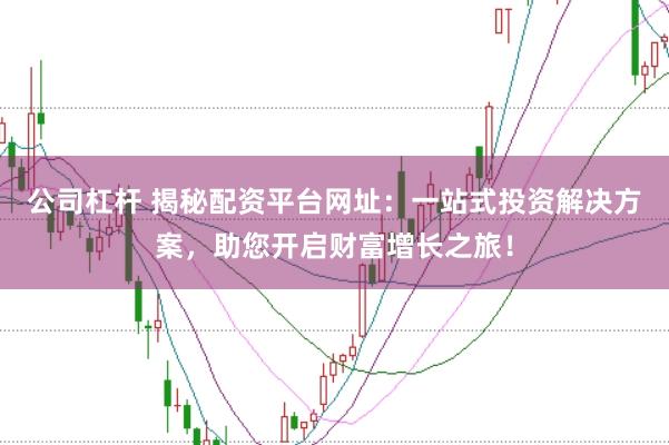 公司杠杆 揭秘配资平台网址：一站式投资解决方案，助您开启财富增长之旅！