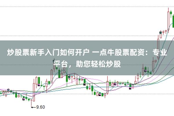 炒股票新手入门如何开户 一点牛股票配资：专业平台，助您轻松炒股