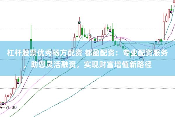 杠杆股票优秀杨方配资 都盈配资：专业配资服务，助您灵活融资，实现财富增值新路径