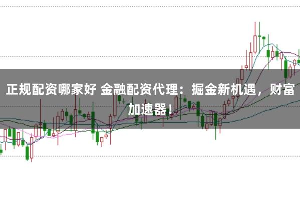 正规配资哪家好 金融配资代理:掘金新机遇,财富加速器!