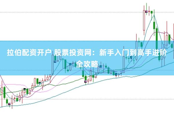 拉伯配资开户 股票投资网：新手入门到高手进阶全攻略
