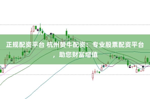 正规配资平台 杭州赞牛配资：专业股票配资平台，助您财富增值