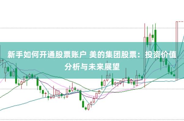 新手如何开通股票账户 美的集团股票:投资价值分析与未来展望