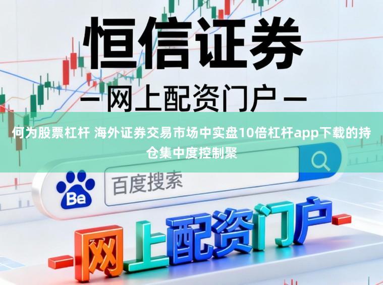 何为股票杠杆 海外证券交易市场中实盘10倍杠杆app下载的持仓集中度控制聚