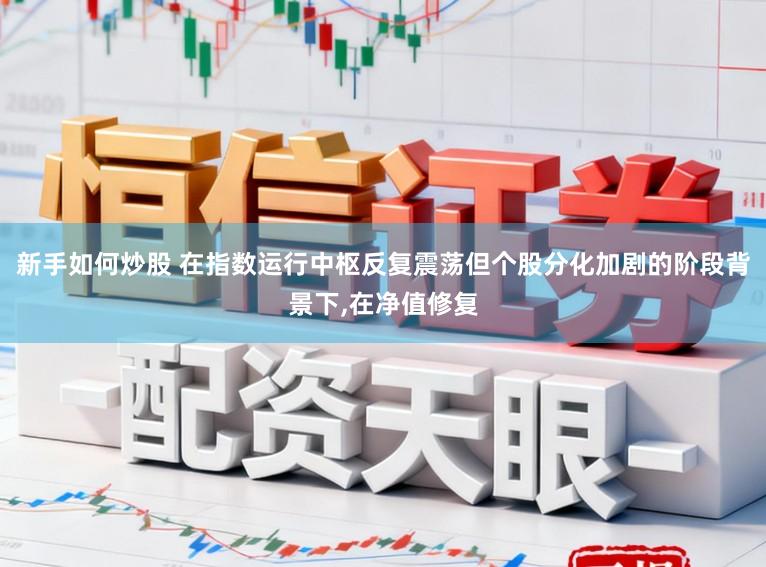 新手如何炒股 在指数运行中枢反复震荡但个股分化加剧的阶段背景下,在净值修复