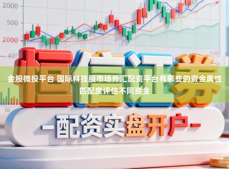 金股微投平台 国际科技股市场外汇配资平台有哪些的资金属性匹配度评估不同资金
