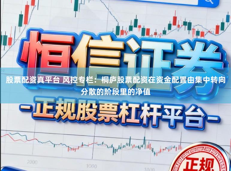 股票配资真平台 风控专栏：桐庐股票配资在资金配置由集中转向分散的阶段里的净值