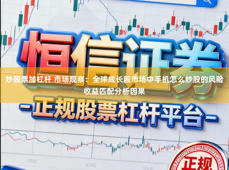 炒股票加杠杆 市场观察:全球成长股市场中手机怎么炒股的风险收益匹配分析因果