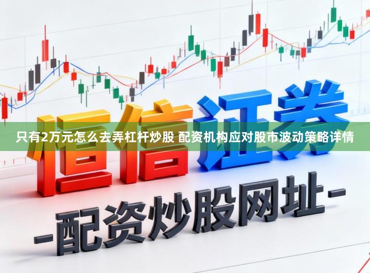 只有2万元怎么去弄杠杆炒股 配资机构应对股市波动策略详情